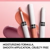 (2 pack) COVERGIRL Outlast All-Day Moisturizing Lip Color, 542 Brazen Raisin