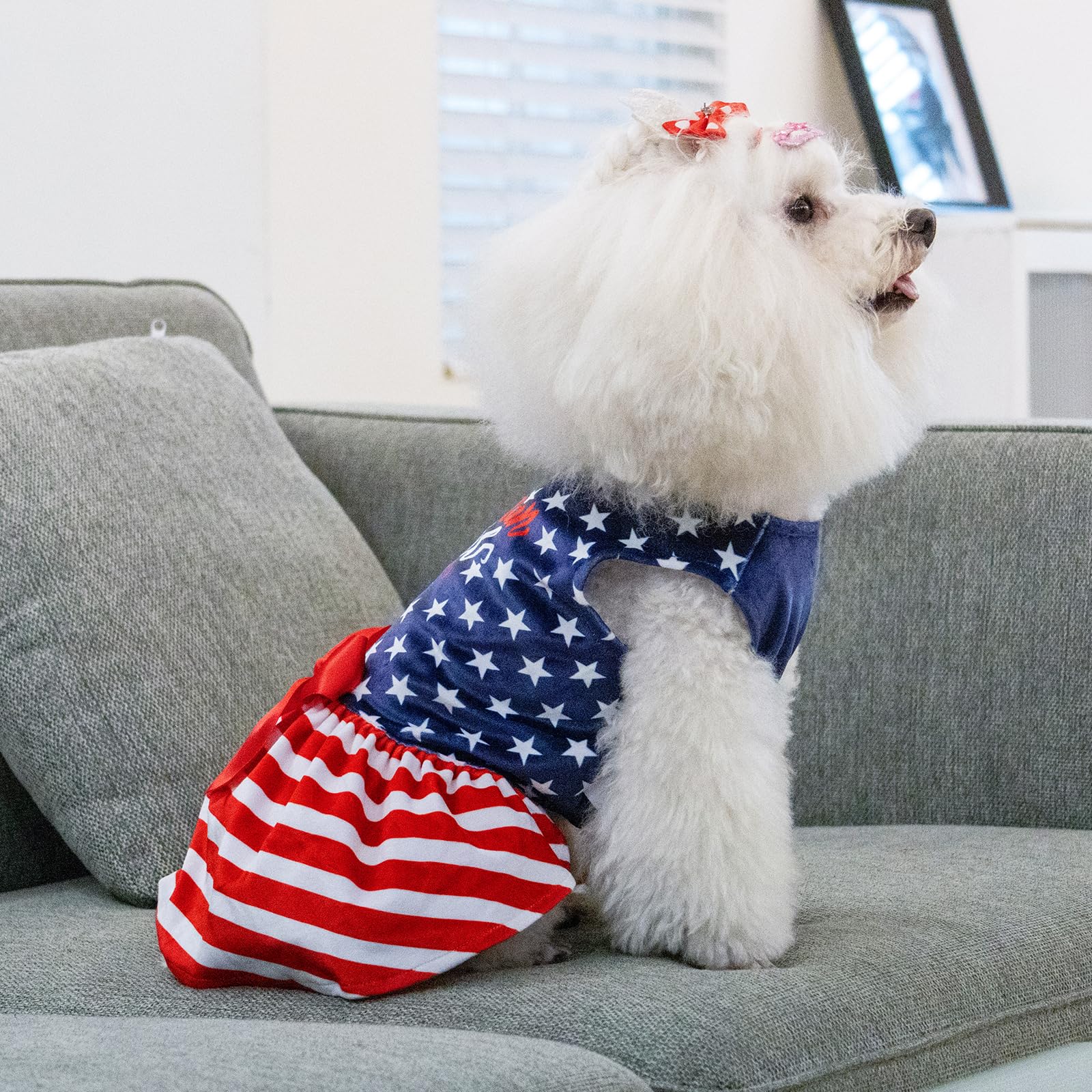 CuteBone Dog Dresses Velvet 4th of July Small Dogs Clothes Onesie Pet Apparel Girl Puppy Skirt with Bow Hair Rope